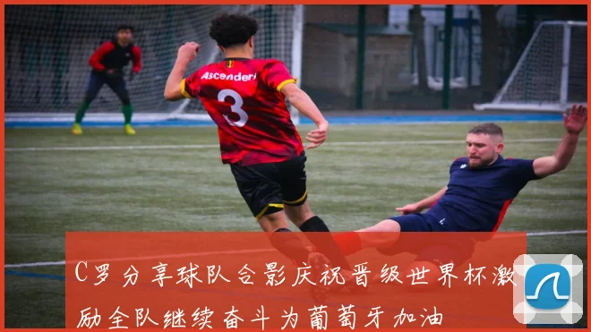 C罗分享球队合影庆祝晋级世界杯激励全队继续奋斗为葡萄牙加油