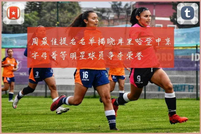 周最佳提名名单揭晓库里哈登申京字母哥等明星球员争夺荣誉