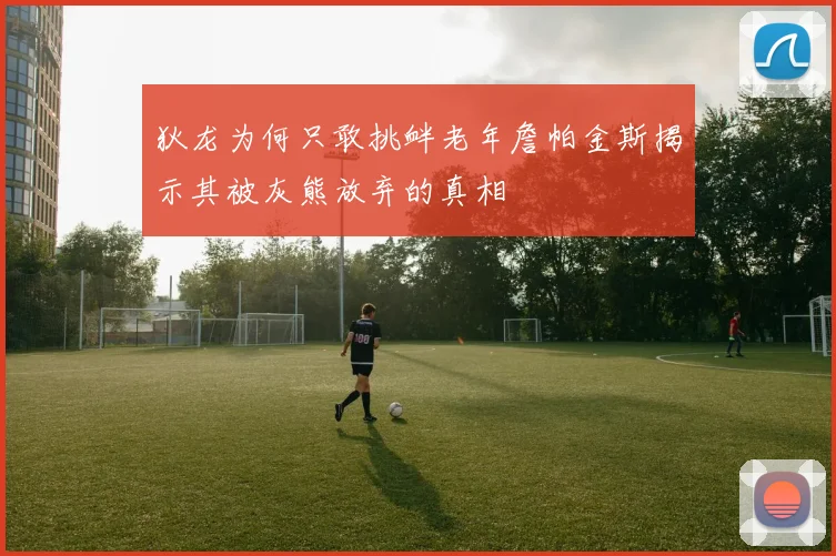 狄龙为何只敢挑衅老年詹帕金斯揭示其被灰熊放弃的真相