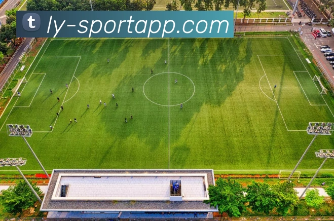 乐鱼体育APP 封面图